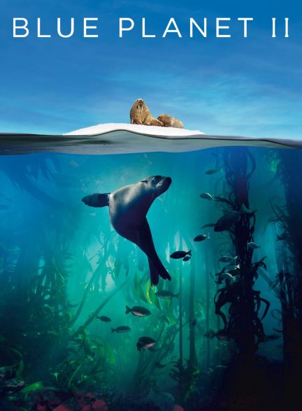 Blue Planet 2 2017 سیاره آبی 2