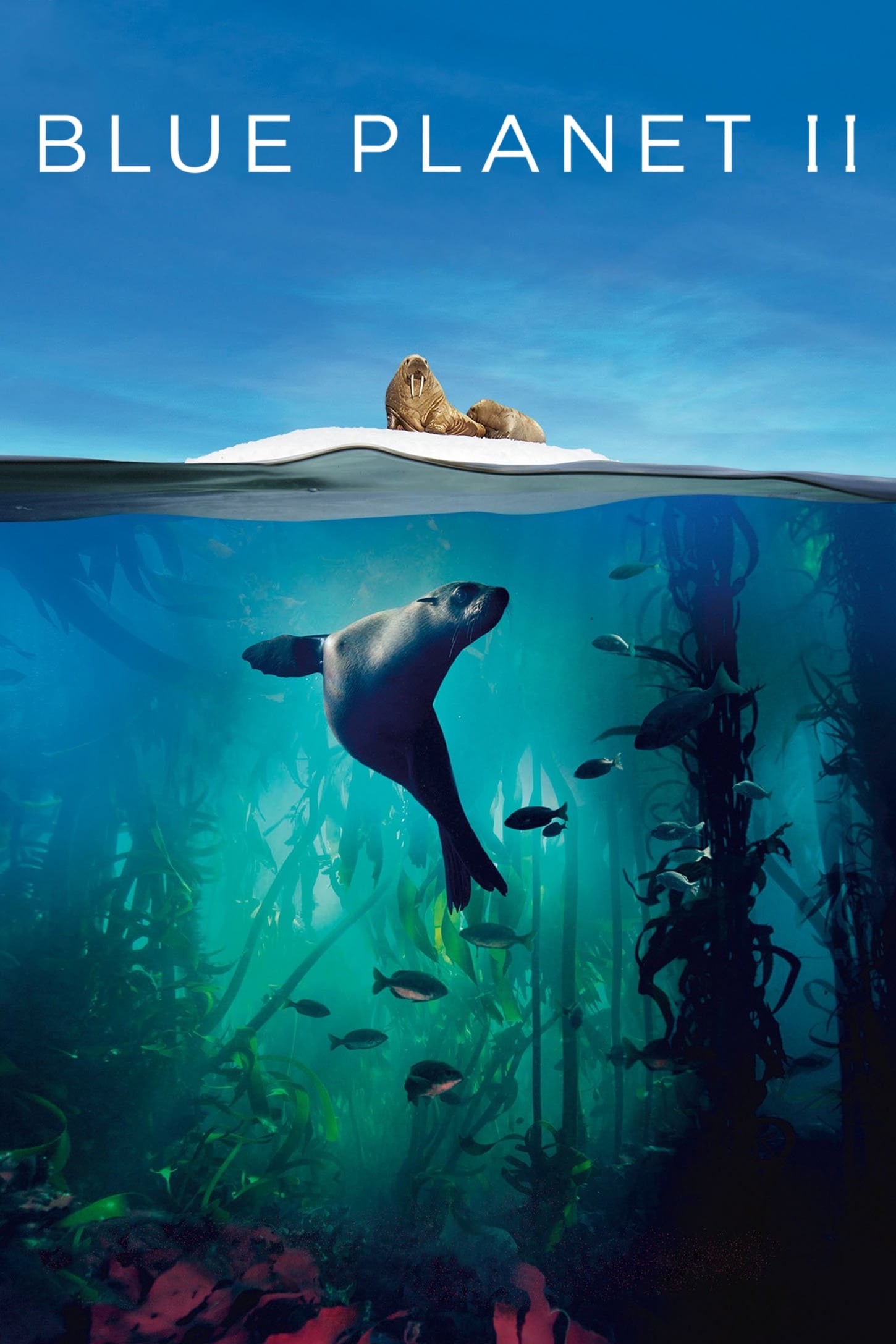Blue Planet 2 2017 سیاره آبی 2